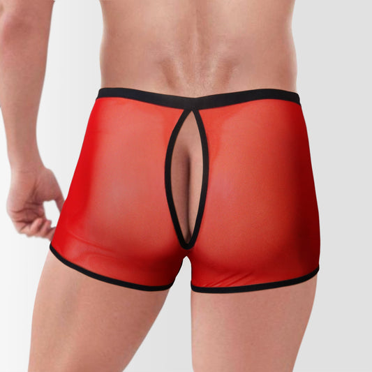 Red Sheer Men’s Briefs – Bold & Seductive size L-2XL