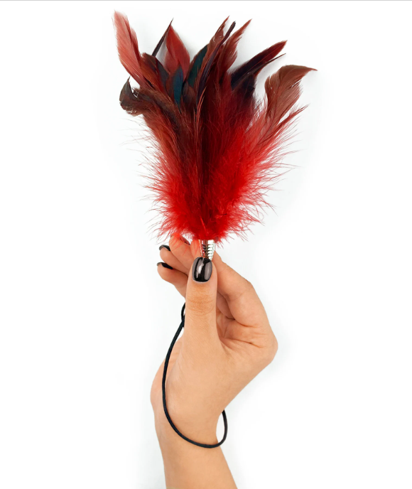 Massage feather tickler