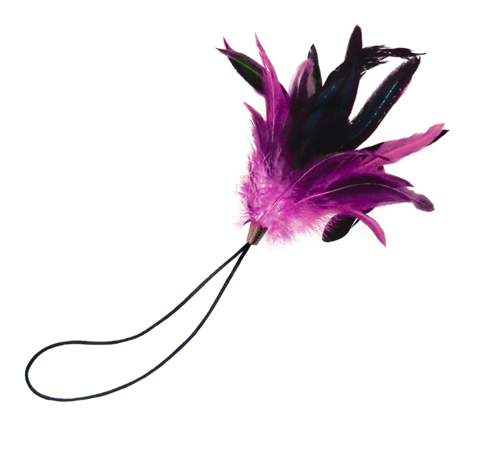 Massage feather tickler