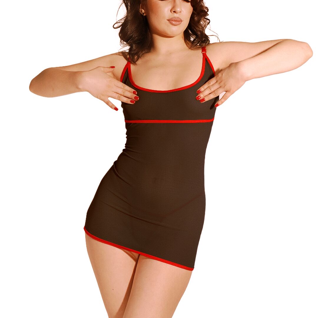 Art of Sex – Sharlotte Mesh Mini Dress – Provocative, Daring & Unforgettable Size XS-M
