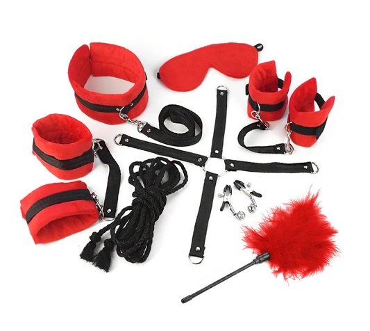 BDSM kit, toys and accessories