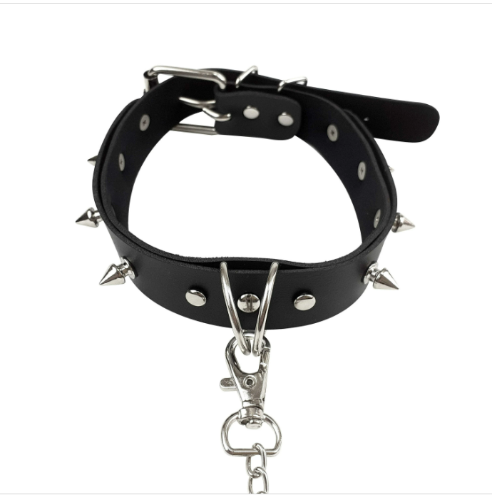 bdsm collar with spikes and leash
