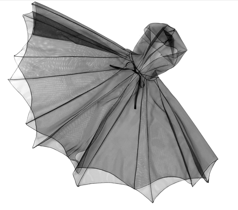 Bat Wing Hooded Cape